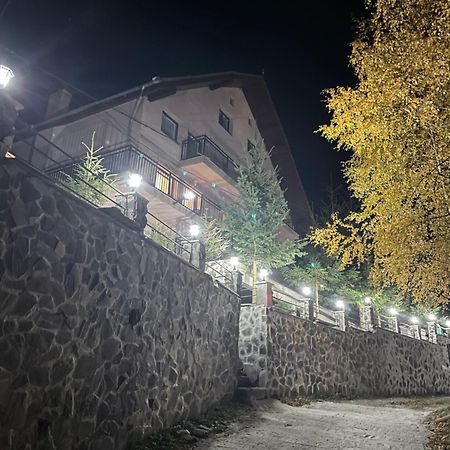 Pensiunea Joe Păltiniş Exterior foto
