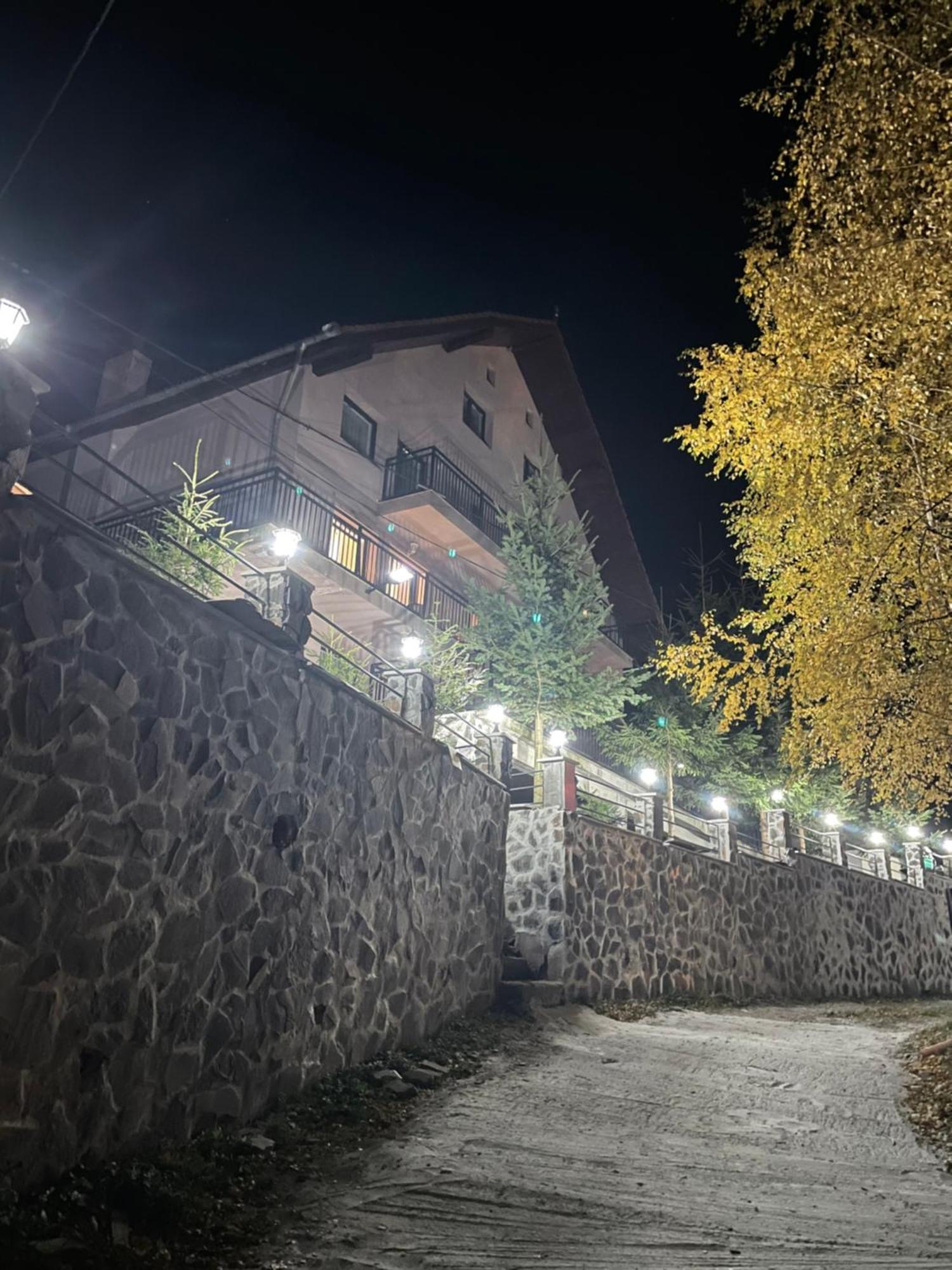 Pensiunea Joe Păltiniş Exterior foto